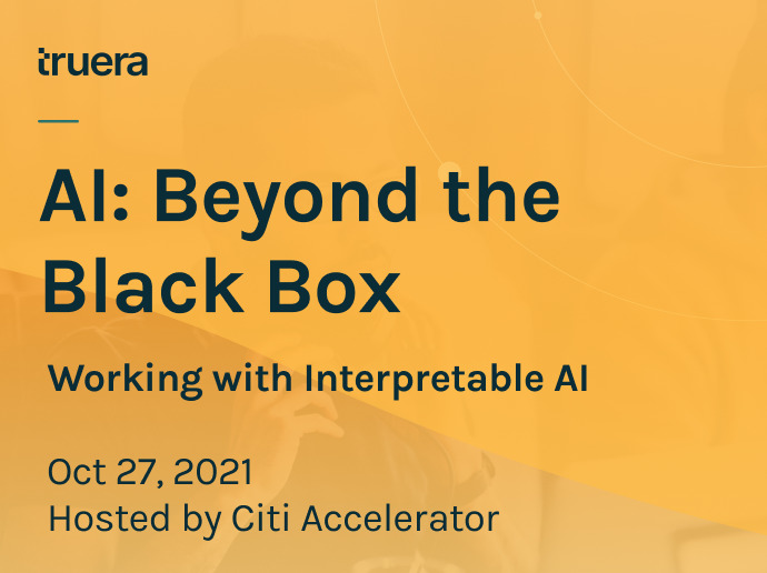 AI Beyond the Black Box Citibank