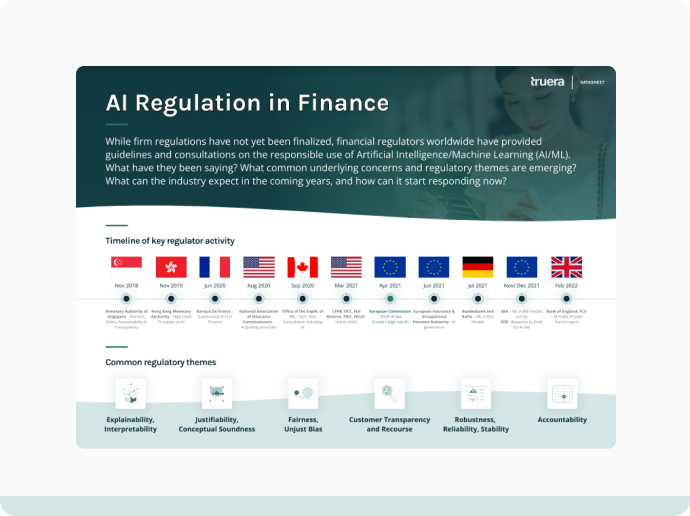 AI Regulation in Finance_TruEra Datasheet