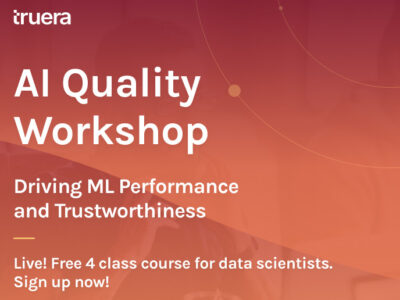Free AI Quality class for data scientists