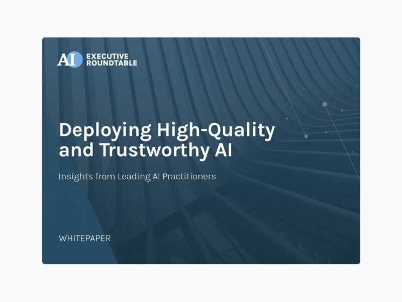 Trustworthy AI Whitepaper