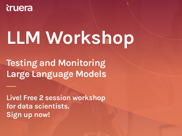 Monitoring and Testing LLMs - a Workshop