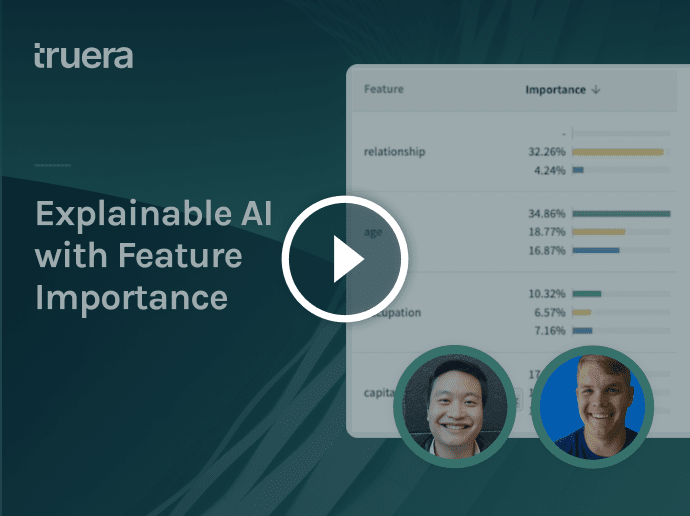 explainable ai with feature importance