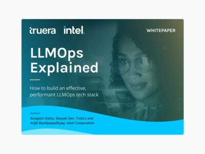 TruEra Intel Whitepaper